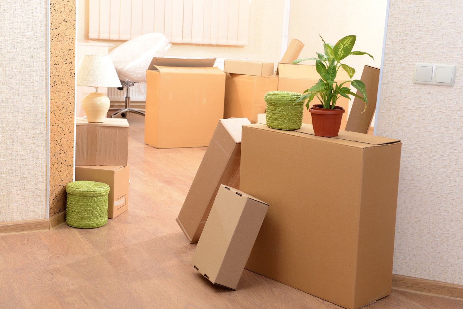 House Relocation In Nsw: The Best Removal Companies To Help You Move