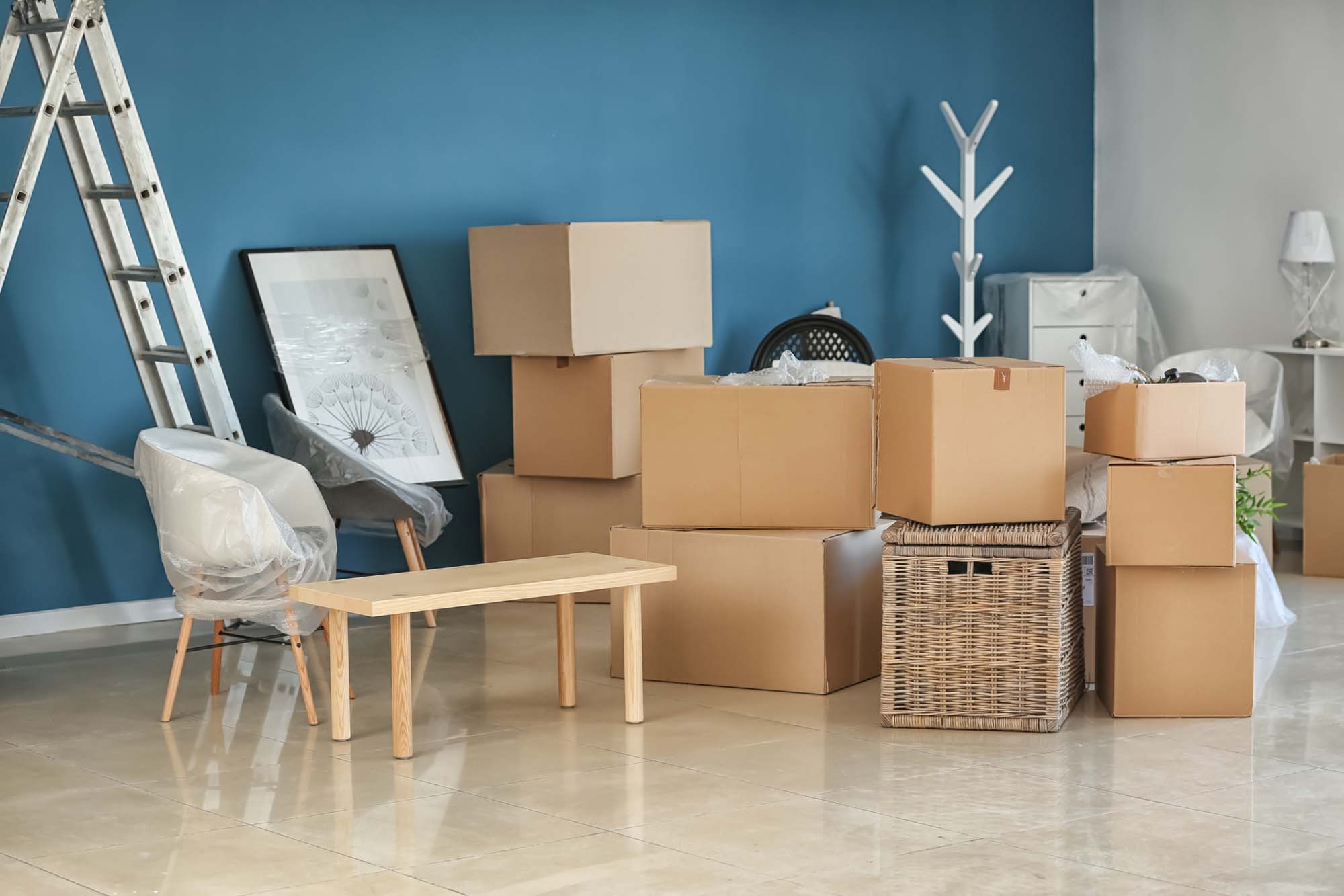 Sensible Justifications For Using Professional Willoughby Removalists In Australia
