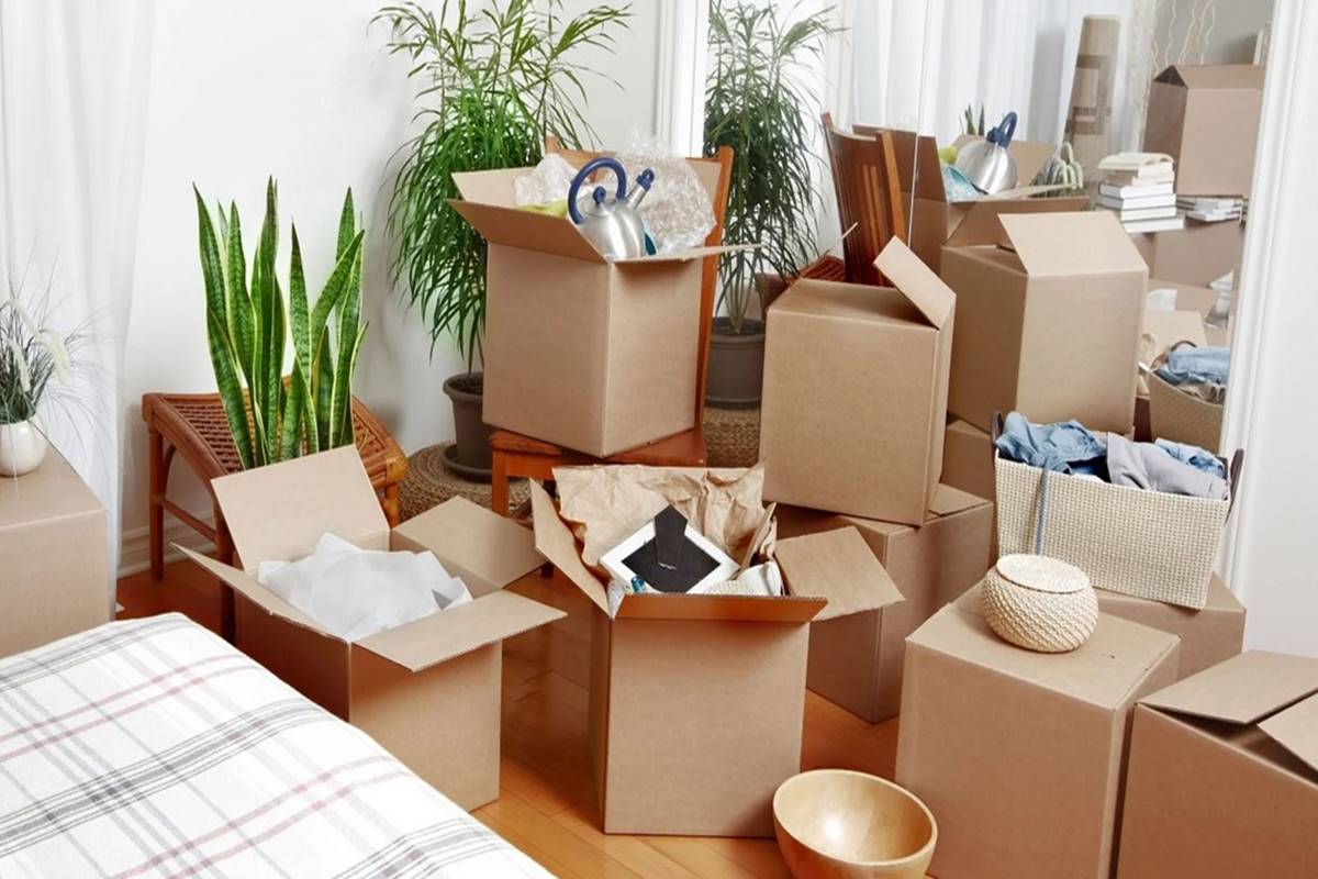 Movers Near Me