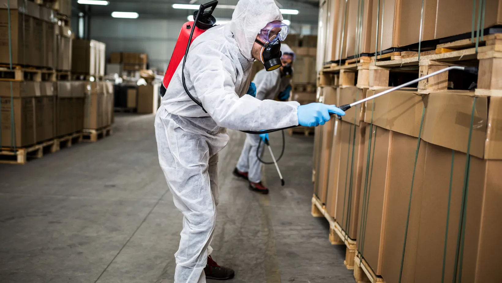 Termite Treatment Melbourne, Rat Control Melbourne