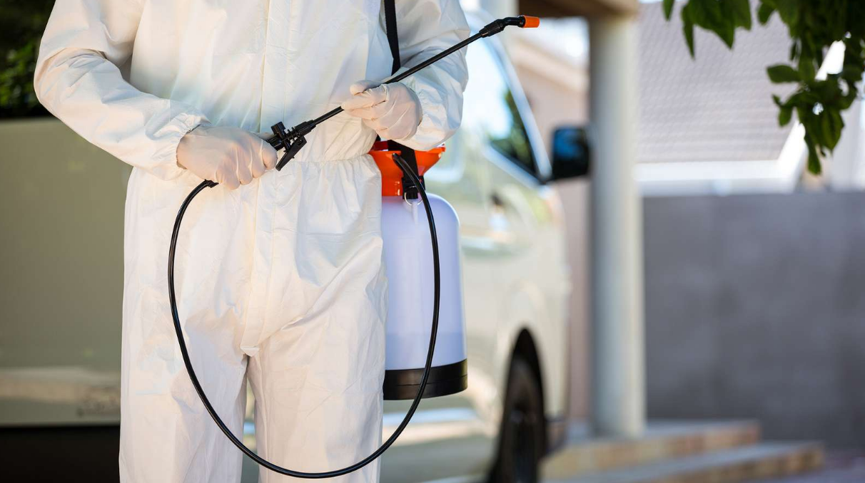 Bee Pest Control Melbourne