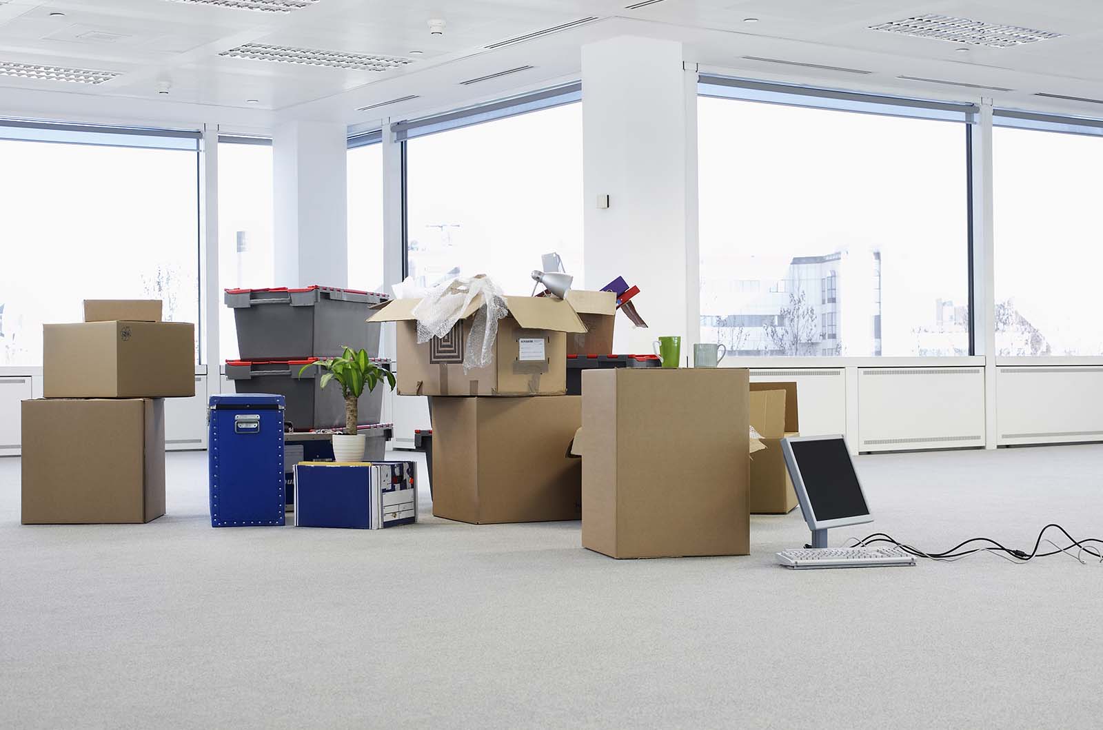 removalist lidcombe