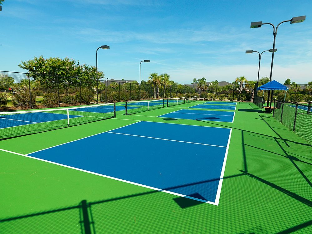 Ready For A Game? Find The Best Pickleball Courts Near Belgrave